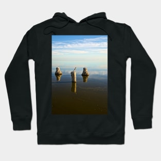 Glass Poles Hoodie